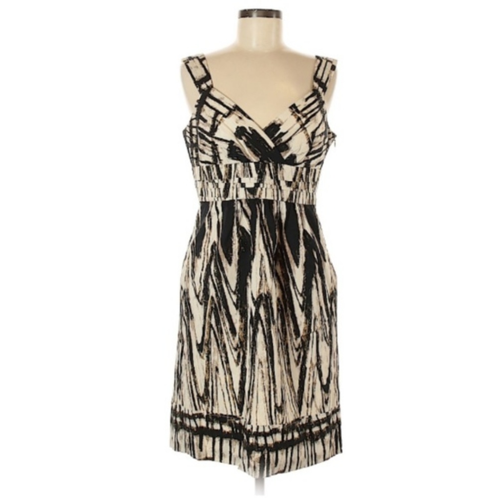 Ann Taylor Ikat Printed Dress